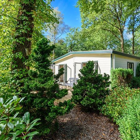 Luxe Familiehuis Veluwe 4-6 Persons Pool Kids Dog Hoenderloo Esterno foto